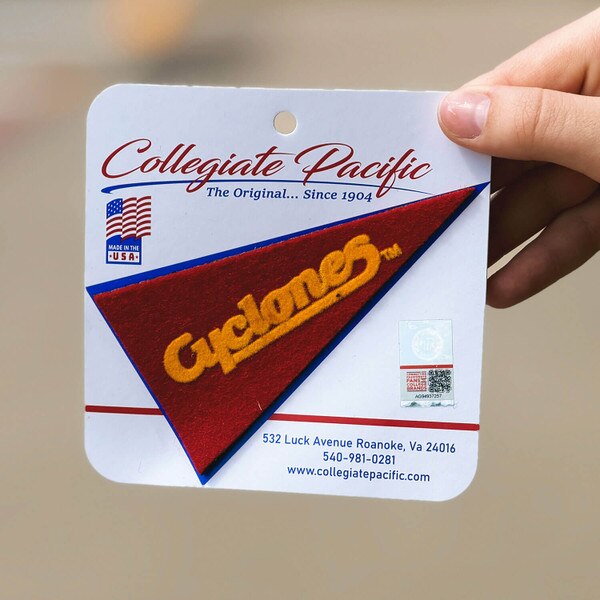 Cyclones Script Cardinal Mini Magnet